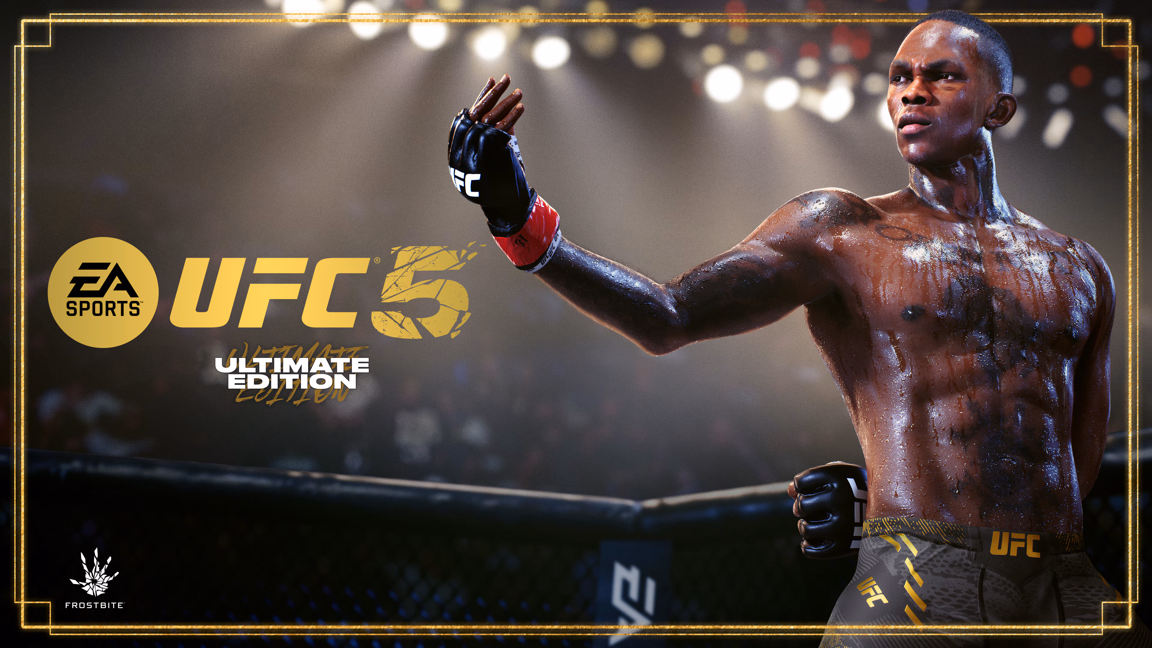 Official artwork for UFC 5